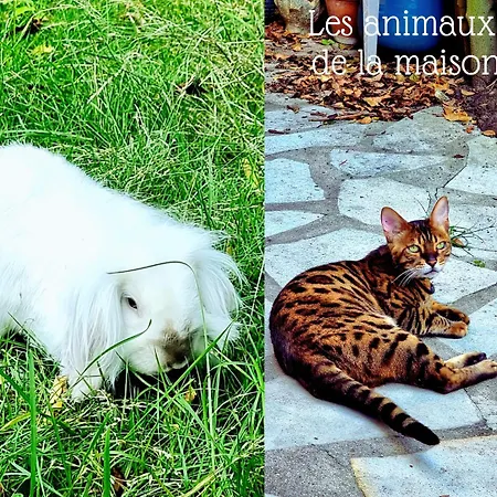 La Campagne A Paris Pensjonat 3*